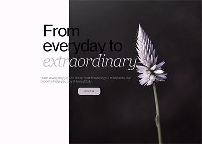 Meaningful Moments Template