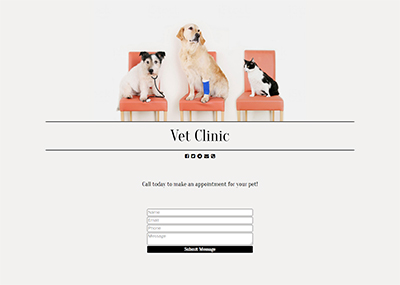 Veterinary Clinic Template