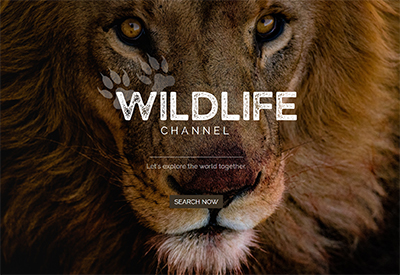 Wildlife Channel Template